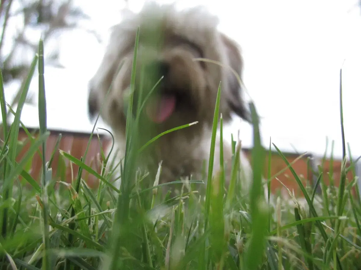 thumbnail-9